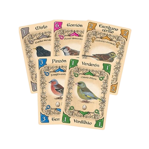 PÁJAROS CANTORES