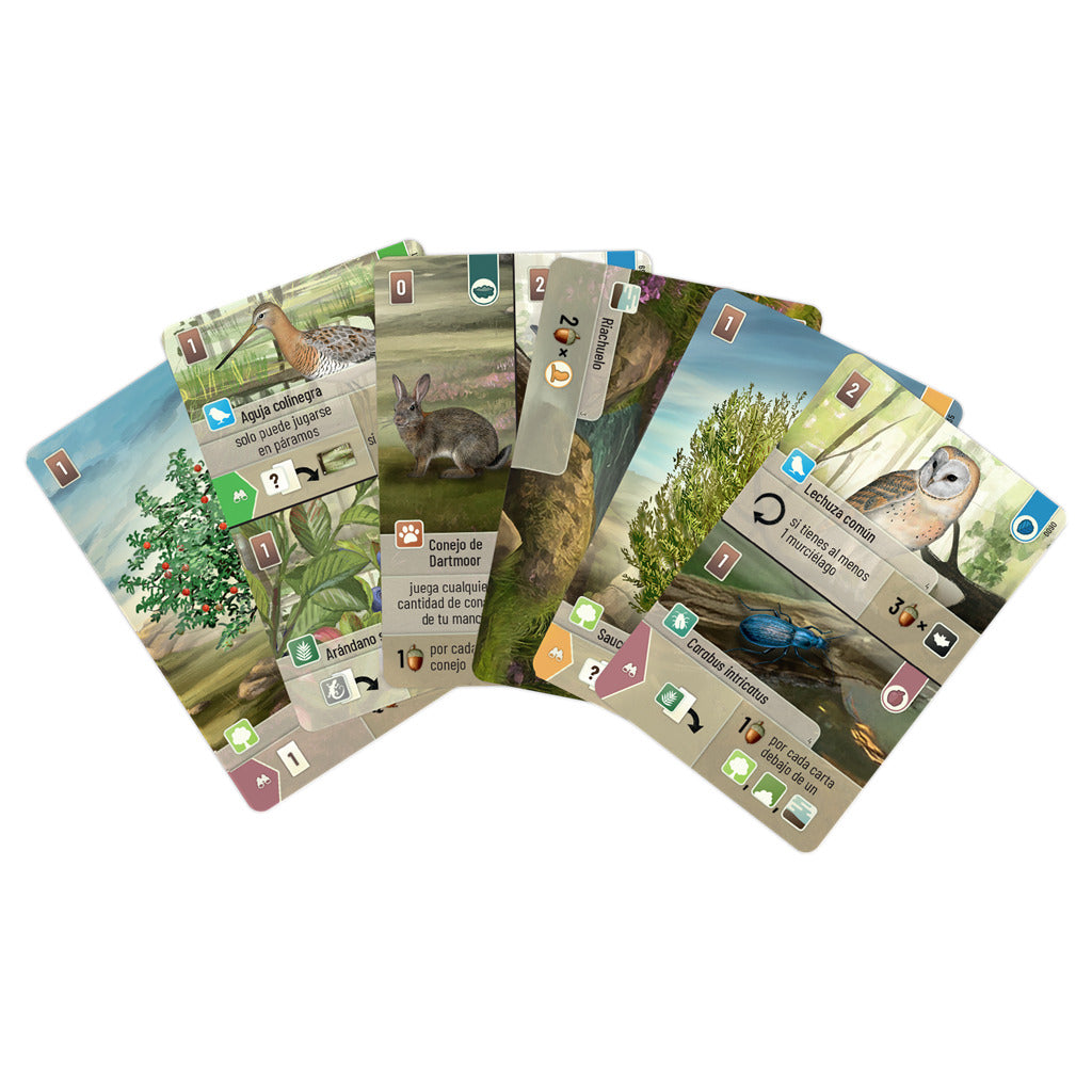 FOREST SHUFFLE: DARTMOOR