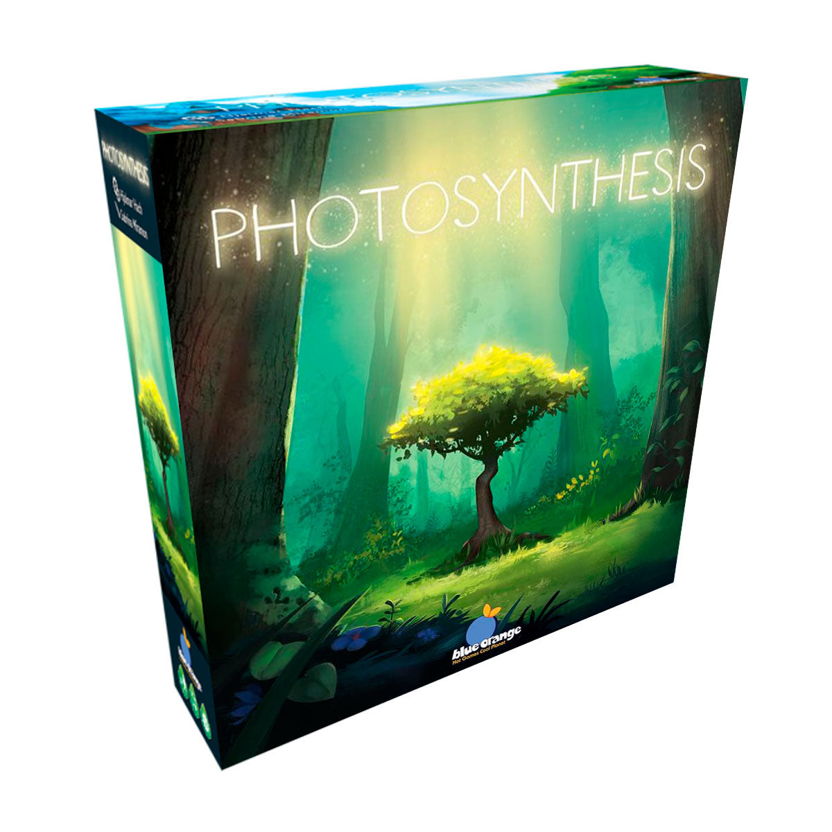 PHOTOSYNTHESIS